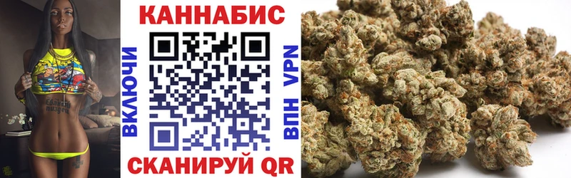 Бошки марихуана SATIVA & INDICA  omg сайт  Грозный 